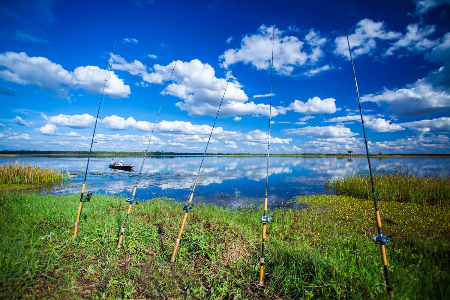 fishing poles on a lake